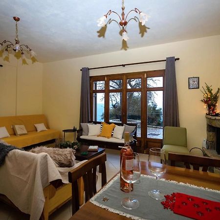 Meli Apartments Arachova Exteriér fotografie